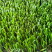 Chinese cheap artificial grass for decoration