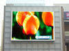 Outdoor full color led display