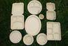 Biodegradable disposable tableware, cup, cutlery, plates