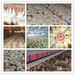 Full set automatic poultry farming equipment for chicken
