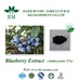 Blueberry extract anthocyanidins 25%