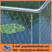 Stainless steel cable mesh net, zoo aviaries zoo mesh Bird netting A