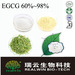 100% Pure Green Tea Extract EGCG 60%
