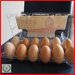 PVC egg plastic tray/blister egg tray