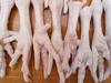 Chicken meat (feet, paws, wings, legs) 