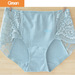 Ladies lineries womens underwear plus size briefs