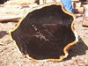 Ebony (Black Ebony) Wood Logs Supplier