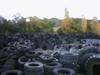 Casings And Used Tires