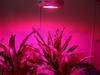300W led hydroponics light