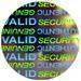 Security Hologram Labels