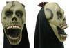 Halloween mask with hood