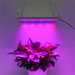 Indoor Planting Full Spectrum LED Grow Light Panel HY-MD-D169S