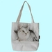 Wholesale Canvas Cotton Custom Printed Tote Bag, Blank Tote Bag Custom