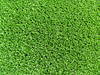 MO16000H1Vo Artificial Grass