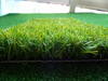 MO16000H1Vo Artificial Grass