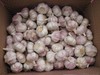 Supply Chinese Exports Fresh Normal White Garlic