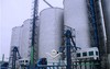 Galvanized Steel Grain Silo for Storage