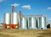 Galvanized Steel Grain Silo for Storage