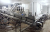 Fish weighing and packing line
