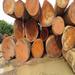 Bilinga Round Wood Logs