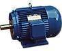 Electrical Motors