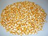 Export of Wheat, Barley, Yellow corn, Soybeans from Ukraine