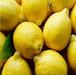 South African fresh lemon