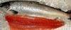 Frozen Norwegian Atlantic Salmon