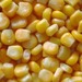 Indian Yellow Maize (Feed Grade) 