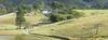 Farm - 832 acres - Paraispolis - MG