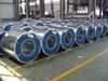 Hot dipped  galvanized  steel coil