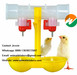 Poultry cup drinkers animal marking paint poultry cup drinker