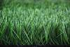 Sports & Landscaping Artificial Turf