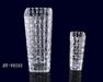 Glass Vase HY-V0101