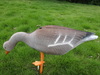 Hunting goose decoy for hunter hunting