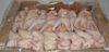 Halal Frozen Chicken Meat and feet