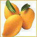 Mango - Kesar - Organic