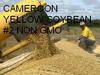 SOYBEAN YELLOW GRADE2 NON GMO