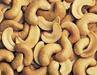 Cashew nuts/kennel