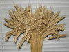 Feed barley feed wheat