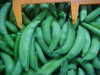 IQF (frozen) vegetables&fruit, fresh water banboo shoot, fresh arbutus