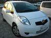 Rizubi Join Free Japan Used Cars Auctions