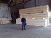 Timber Logs Wood pine-spruce we supply from ukrain russia