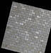 Freshwater Shell mosaic on mesh (with gap) 