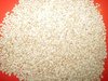 Ethiopian quality white Humera type sesame seeds