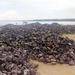 Coal A and B Grade, Iron Ore, Chrome, Copper and Coal Mines for sale