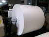 Biodegradable bagasse pulp paper for paper cup