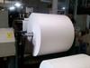 Biodegradable bagasse pulp paper for paper cup