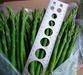 IQF green asparagus