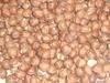 Raw hazelnut kernels
